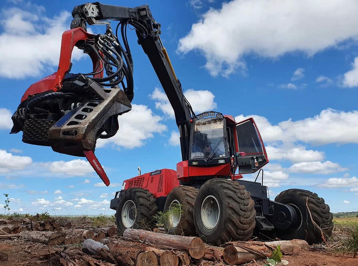 A rugged harvester working on a sloped hillside plantation, its leveling system and wide stance clearly visible as it delicately positions its cutting head around a mature tree. The machine’s cab and body show reinforced guards, hydraulic lines, and robust boom construction in realistic photographic detail. The environment features mixed soil, rocks, and low vegetation, with distant rolling hills under a bright but slightly hazy sky. Midday sunlight creates crisp, functional lighting, highlighting engineering details and casting defined shadows that emphasize terrain challenges. Shot from a side angle with moderate depth of field, the composition conveys stability, safety, and technical capability in demanding forestry conditions, with no people present anywhere.